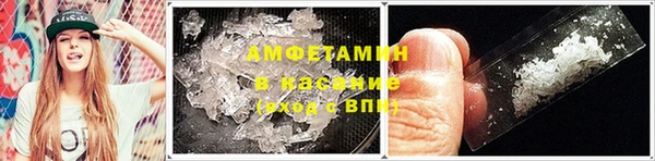молекула духа Балахна
