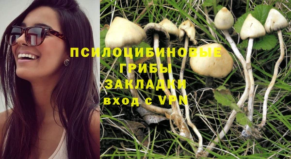 молекула духа Балахна