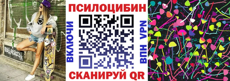 Галлюциногенные грибы Psilocybe kraken Великий Устюг